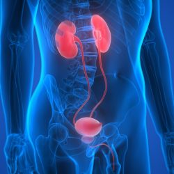 Urology